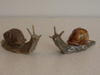 /album/animaux-divers/escargot-23-jpg/